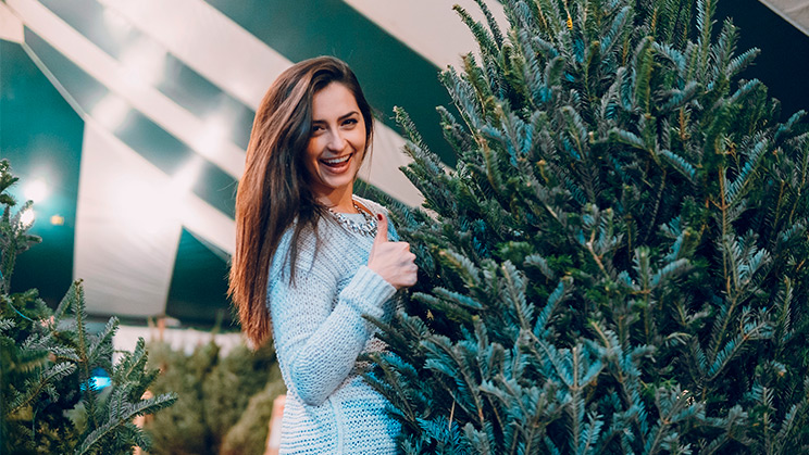 Navidad sustentable: cómo ahorrar, reciclar y proteger el ecosistema en las fiestas