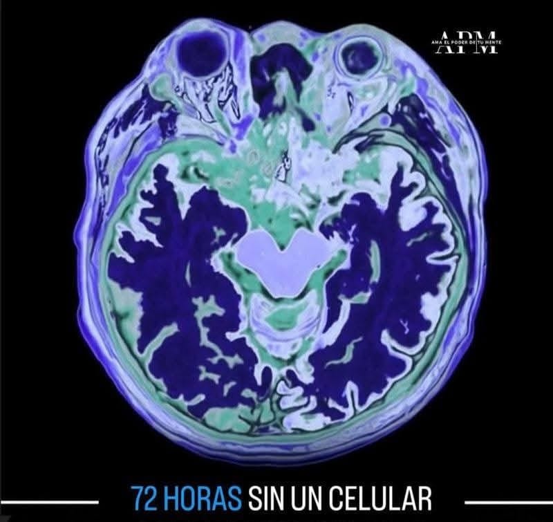 Tres días sin celular: lo que le pasa a tu cabeza cuando apagas el mundo digital.